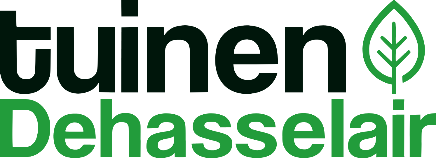 Ontwerp zonder titel - 2026-01-05T045622.391